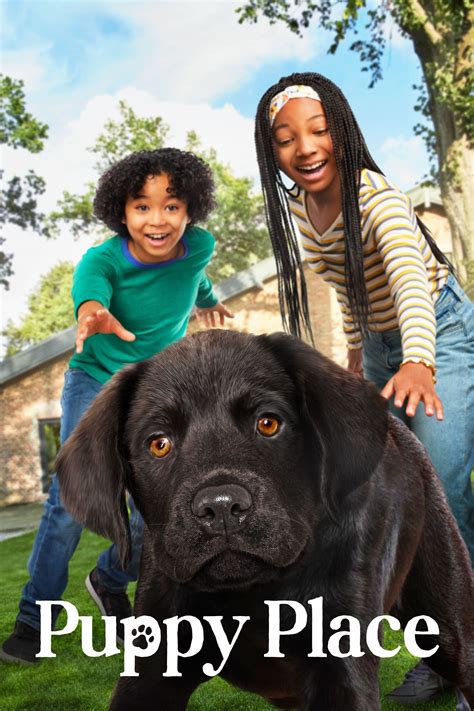 Puppy place - Check his skin and coat by running your hands over him. Check for ticks, fleas, other insects, and, in general, anything that’s not supposed to be there. Notice if he’s scratching or rubbing ...